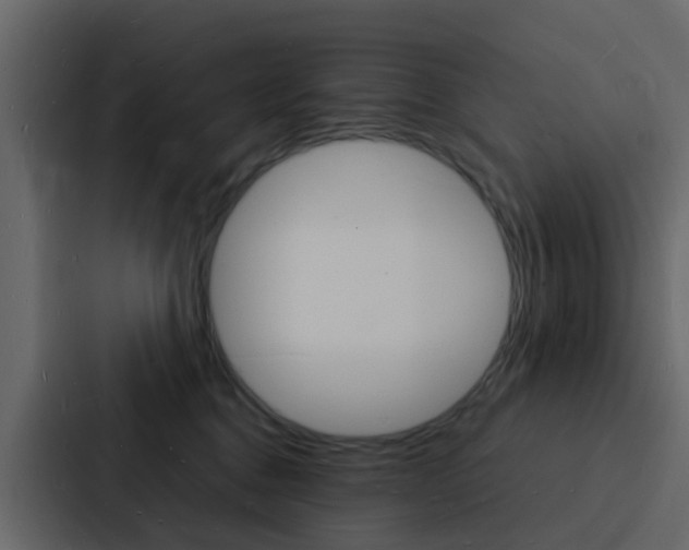 X0000088130376200705141002