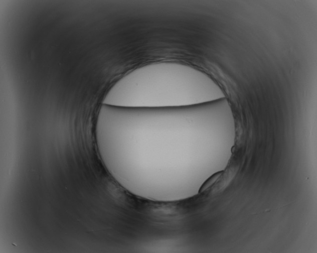 X0000088130377200705141002