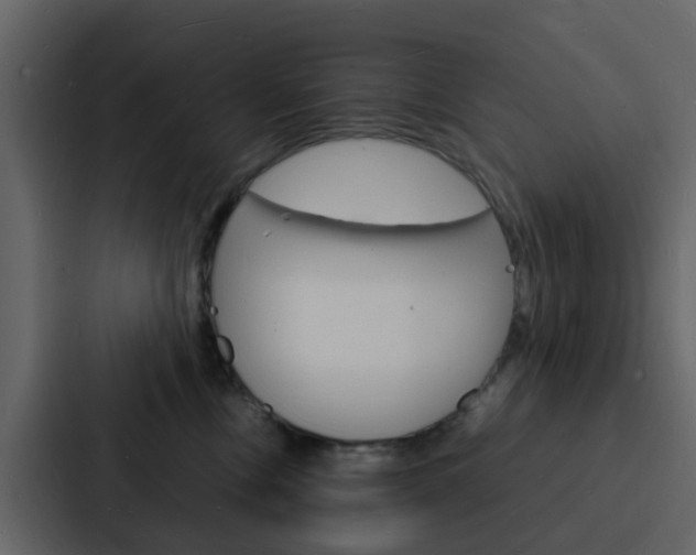X0000088130378200705141002