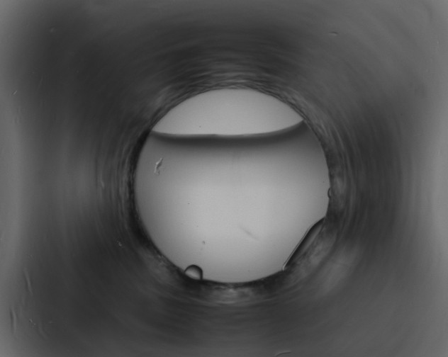 X0000088130379200705141002