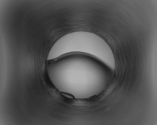 X0000088130380200705141002