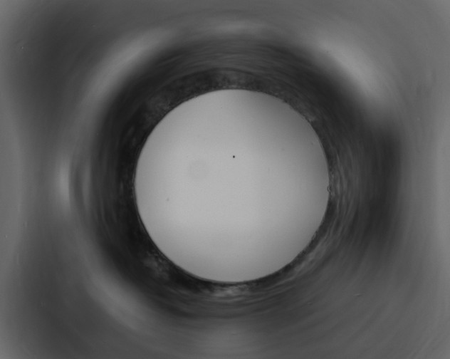 X0000088130382200705141002