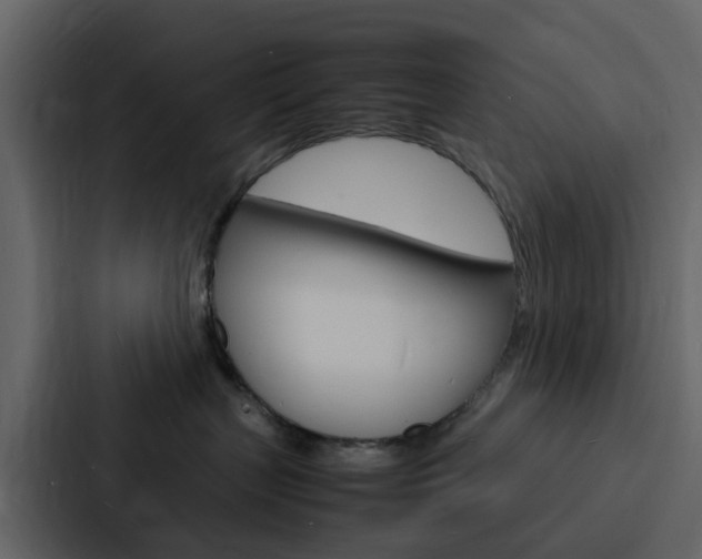X0000088130383200705141002