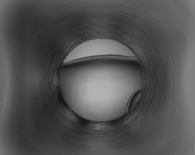 X0000088130384200705141002