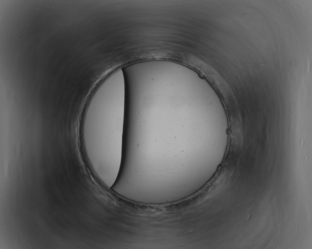 X0000088130386200705141001