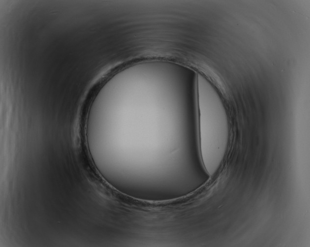 X0000088130388200705141001