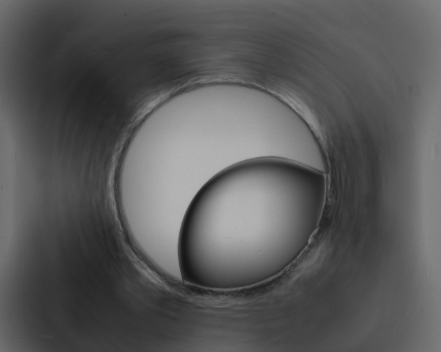 X0000088130389200705141001
