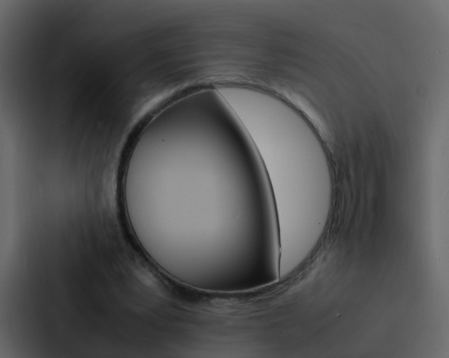 X0000088130391200705141001