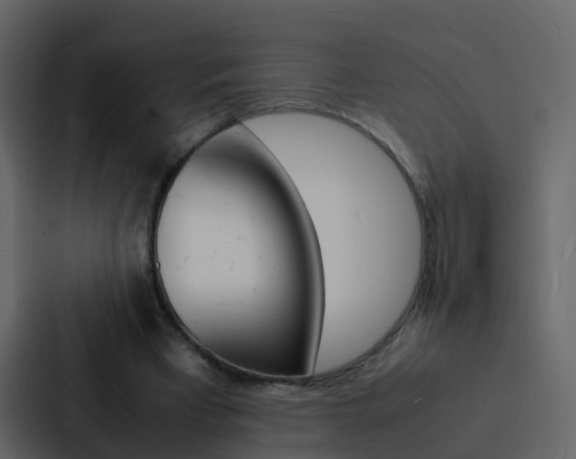 X0000088130393200705141001
