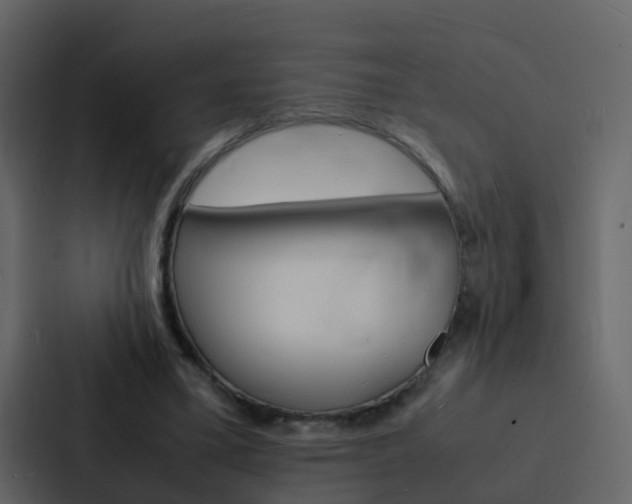 X0000088130395200705141001