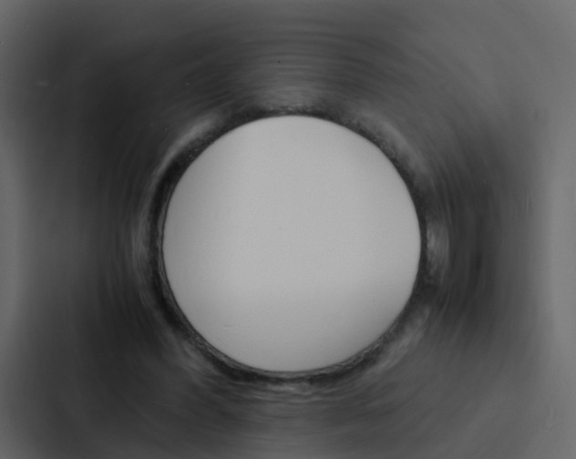 X0000088130396200705141001