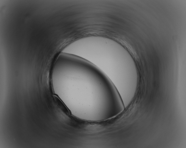 X0000088130397200705141001