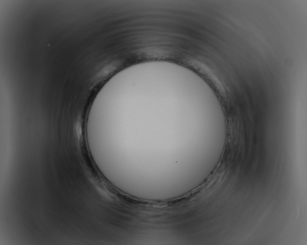 X0000088130398200705141001