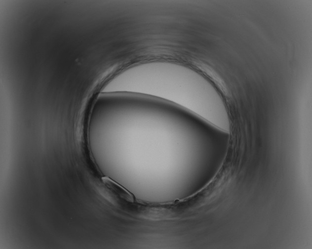 X0000088130399200705141001