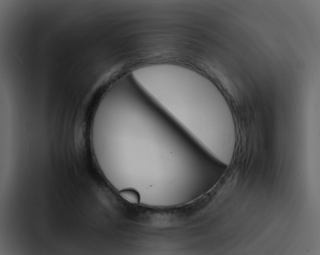 X0000088130400200705141001