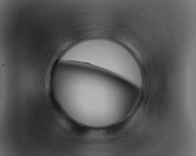 X0000088130403200705141001