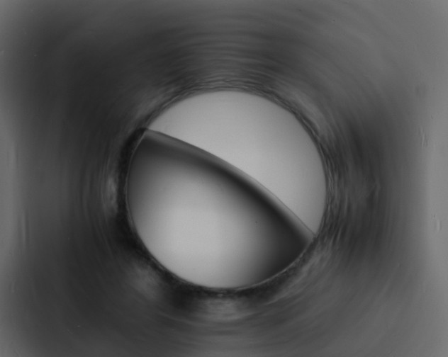 X0000088130404200705141001