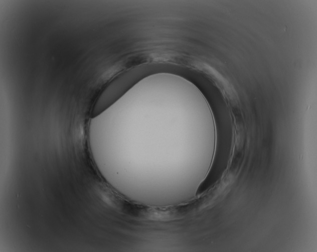 X0000088130405200705141001