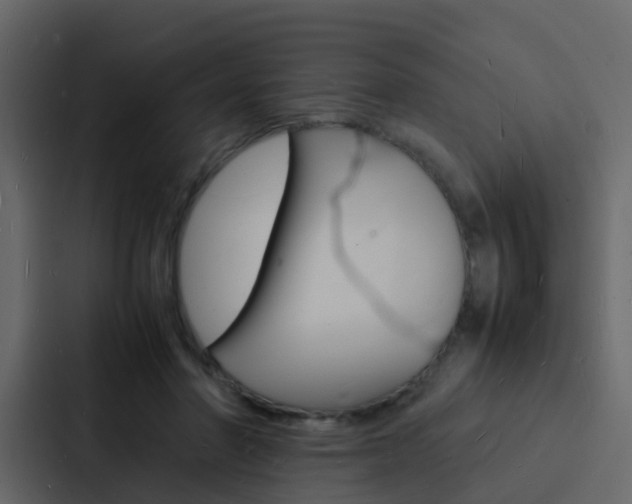 X0000088130406200705141001