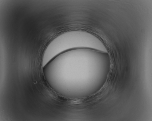 X0000088130411200705141001