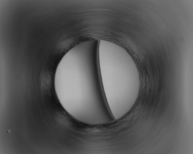 X0000088130412200705141001