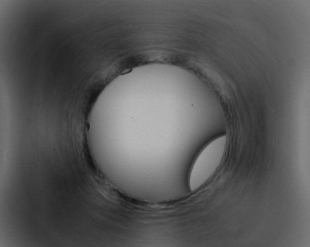 X0000088130413200705141001