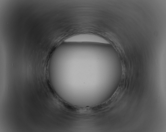 X0000088130415200705141001