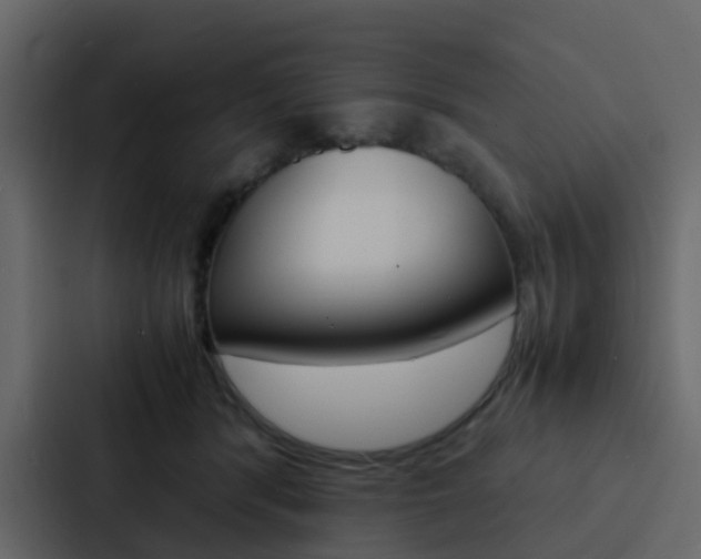 X0000088130416200705141001