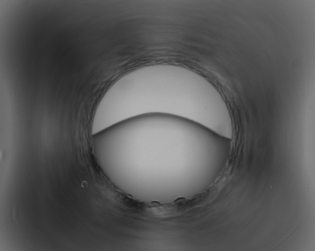 X0000088130417200705141001
