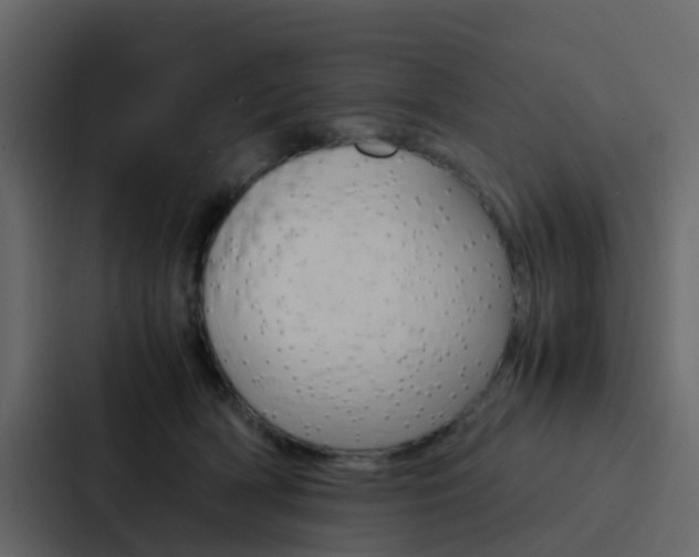 X0000088130418200705141001