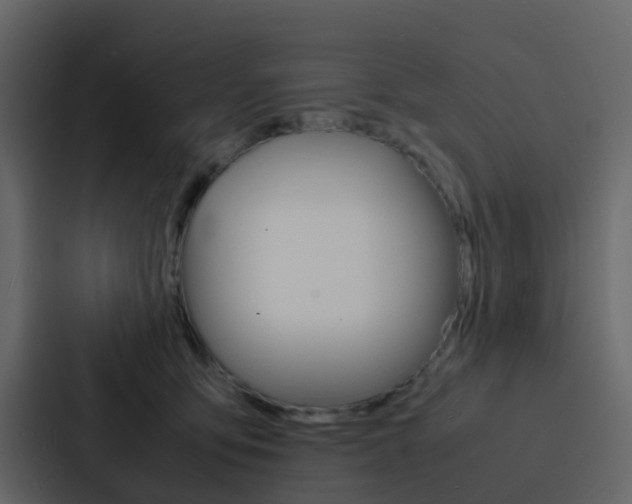 X0000088130419200705141001