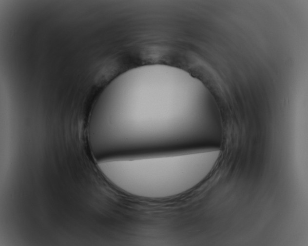 X0000088130420200705141001