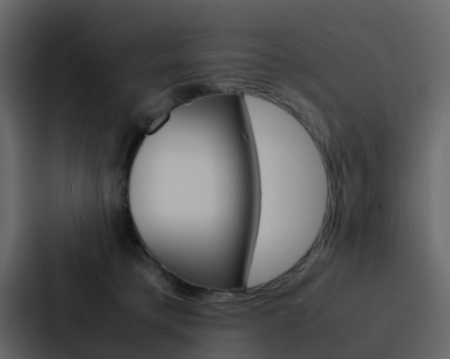 X0000088130421200705141001