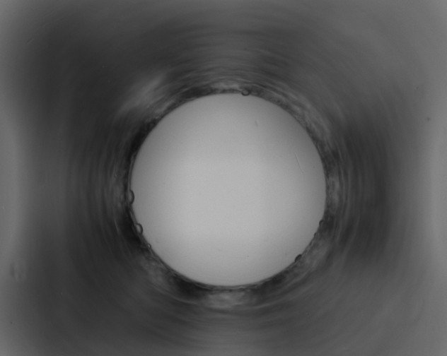 X0000088130422200705141001
