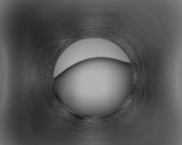 X0000088130423200705141001