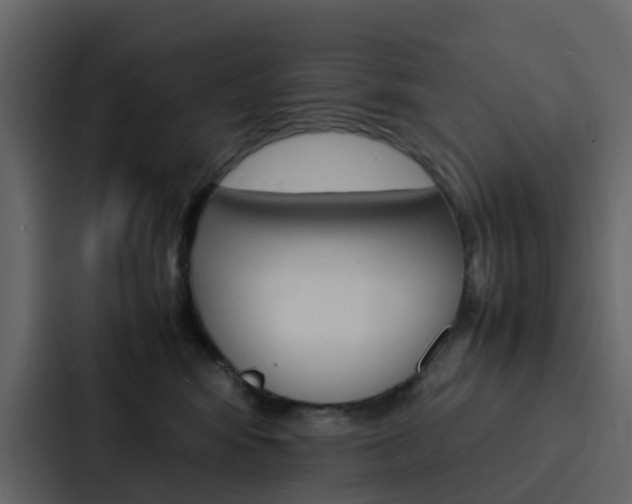 X0000088130424200705141001