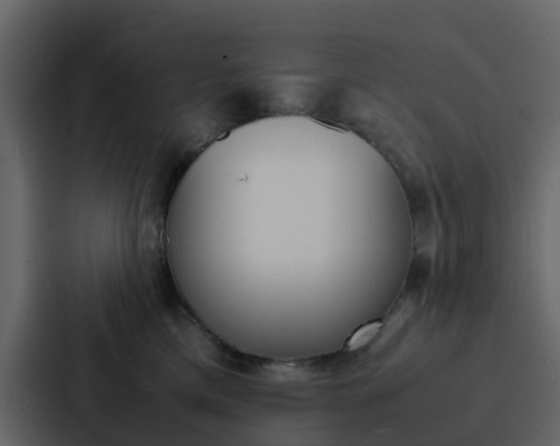 X0000088130425200705141001