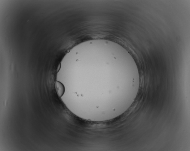 X0000088130426200705141001