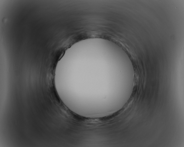 X0000088130427200705141001