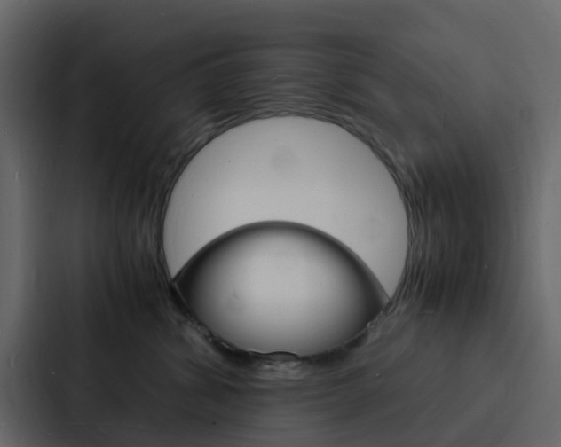 X0000088130428200705141001