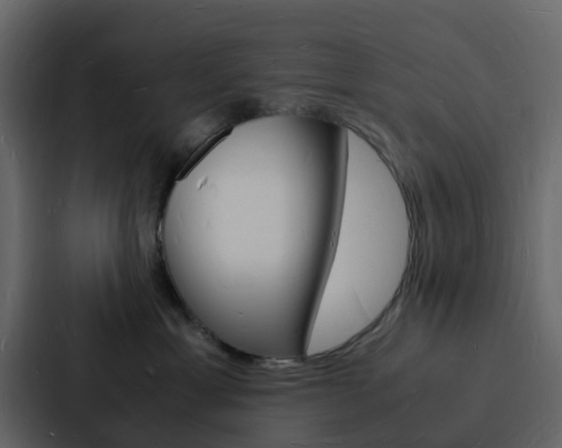 X0000088130429200705141001