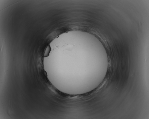 X0000088130430200705141001