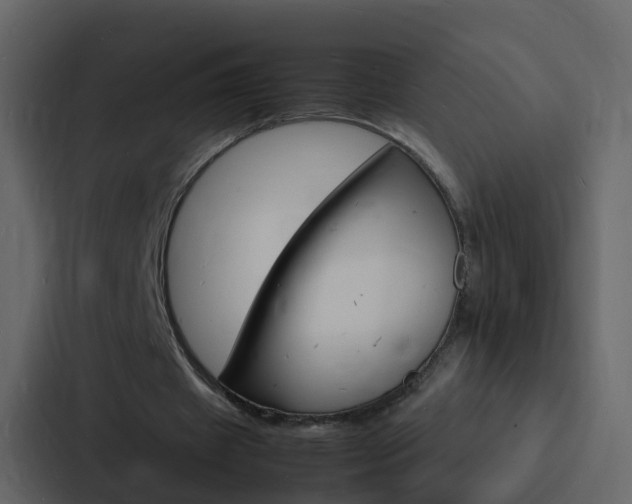 X0000088130433200705141000