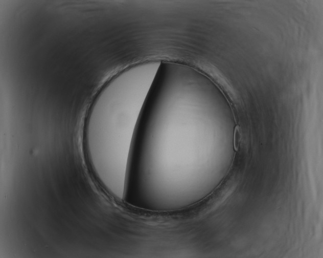X0000088130434200705141000