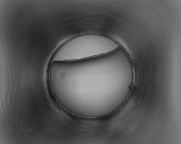 X0000088130435200705141000