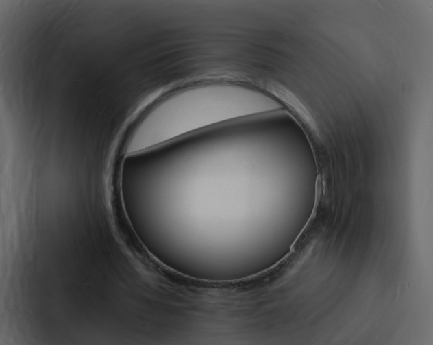 X0000088130436200705141000