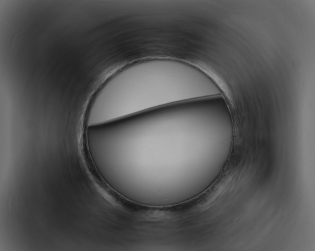 X0000088130437200705141000
