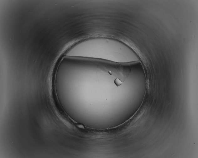 X0000088130438200705141000