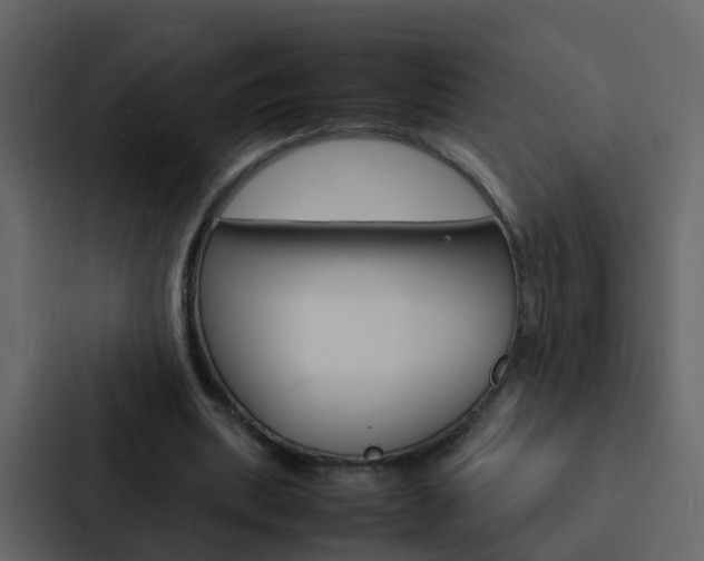 X0000088130439200705141000