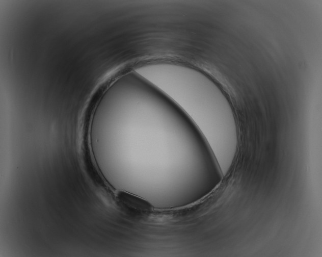 X0000088130440200705141000